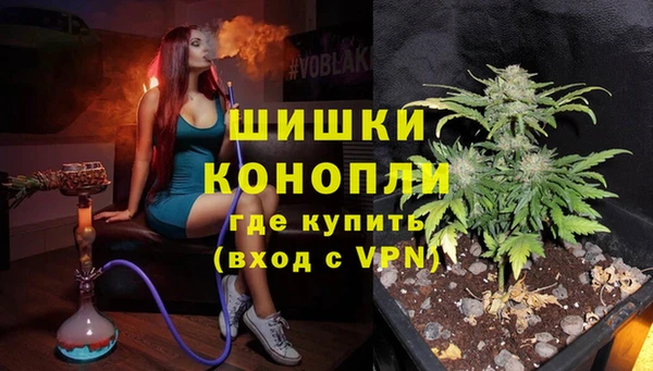 2c-b Сясьстрой