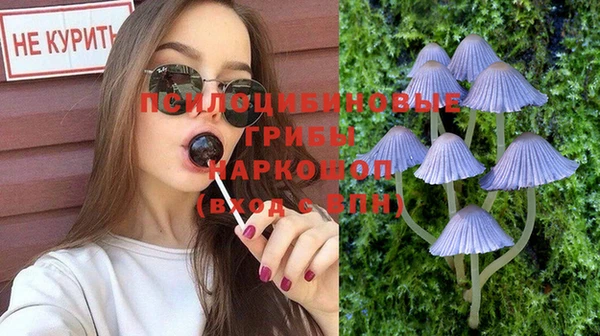 мдма Тайга