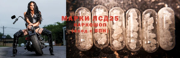 2c-b Сясьстрой