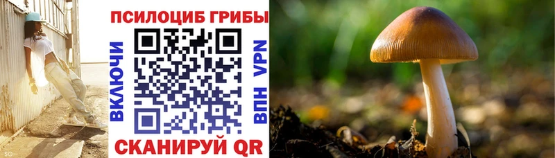 omg tor  сколько стоит  Южноуральск  Псилоцибиновые грибы мицелий 